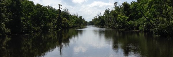 knkendel Profile Banner