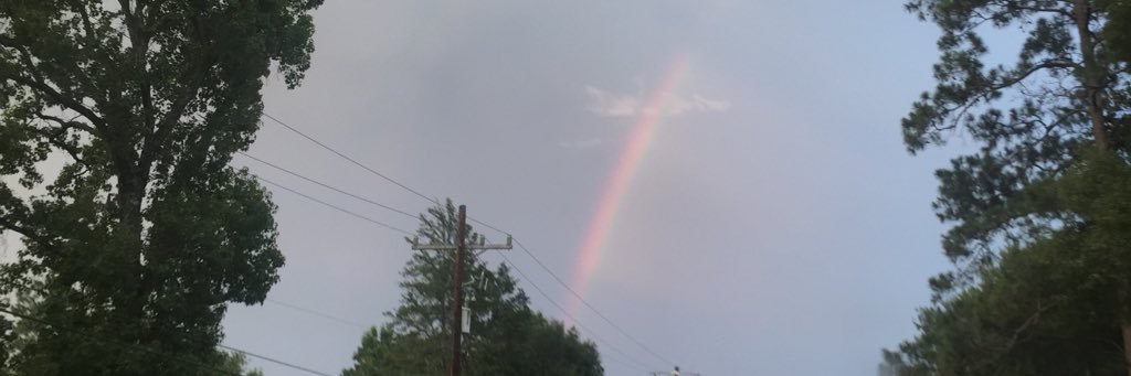 KaylaMauch77's profile banner image