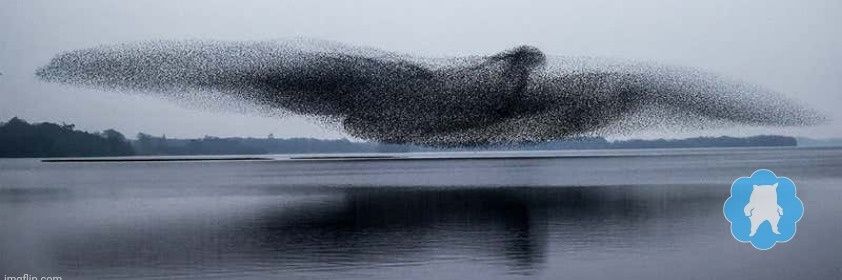 Markoleptic💤 🇺🇲🇺🇦 banner