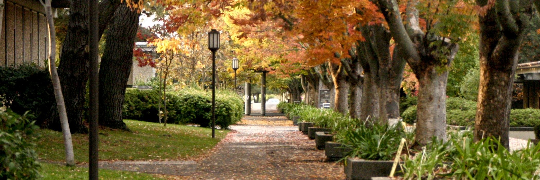Napa Valley College banner