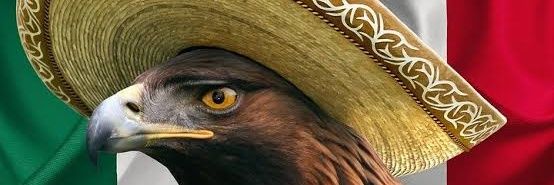 DIVADSETH's profile banner image