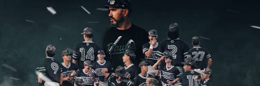 South Hills Baseball banner