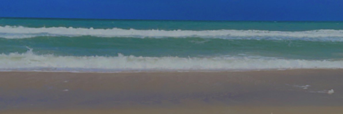 ashleyshrum09's profile banner image
