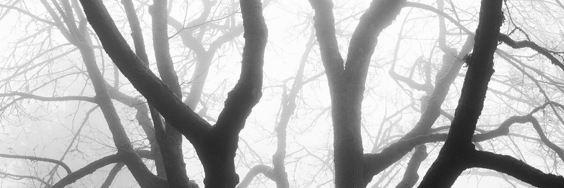 [hidden] banner