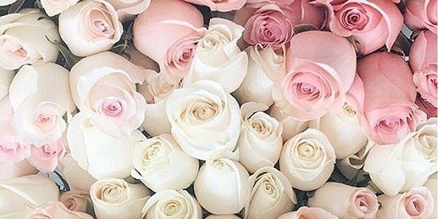 JA__83's profile banner image