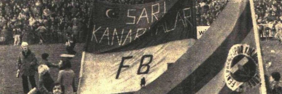 bely banner