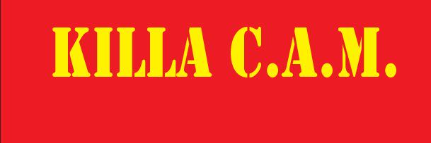 CAM banner