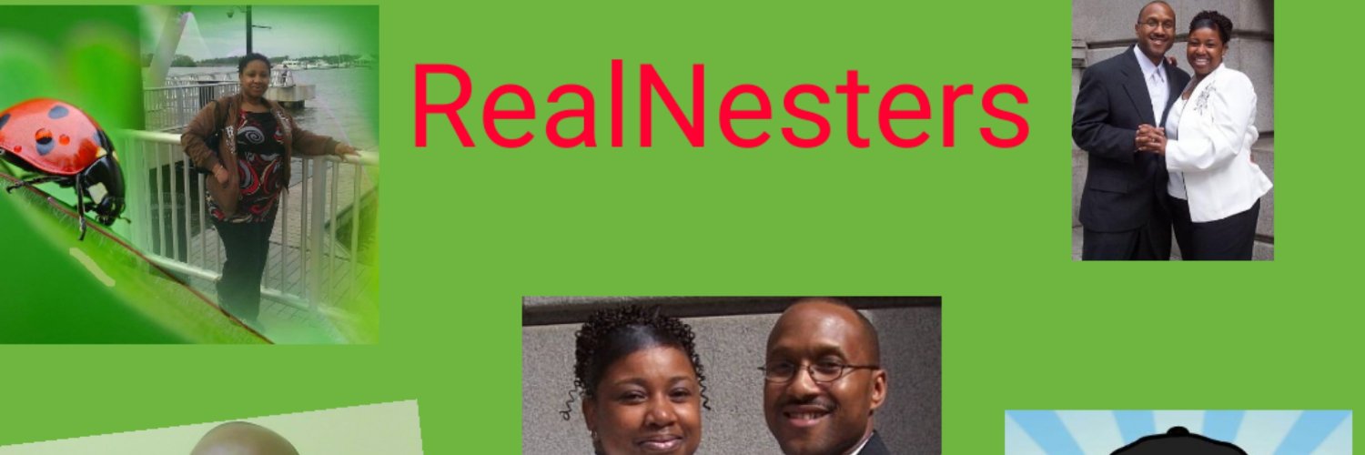 TheRealNesters's profile banner image