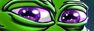 7MODA banner