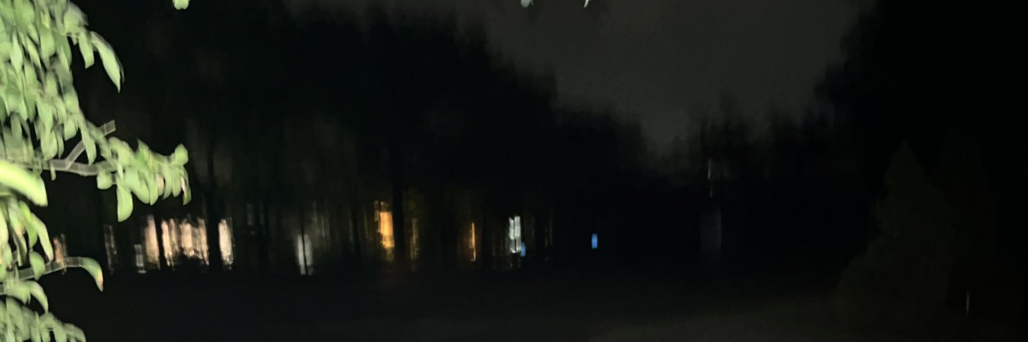 lowbloom's profile banner image