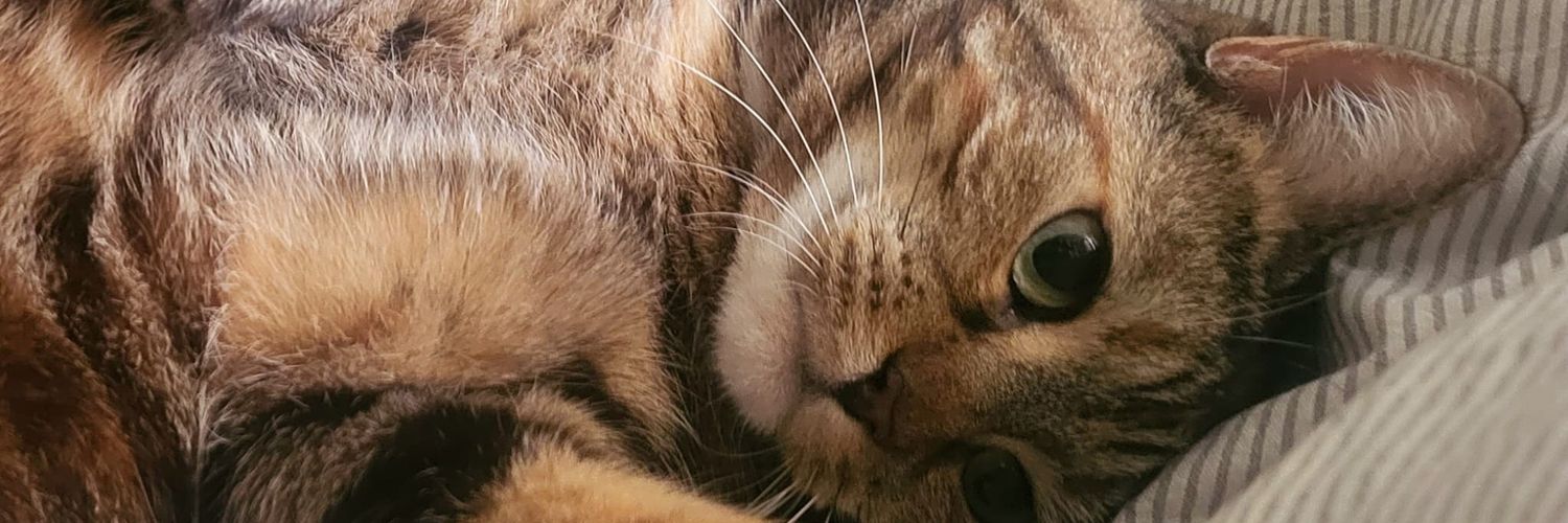Rini Visser 🐾 banner