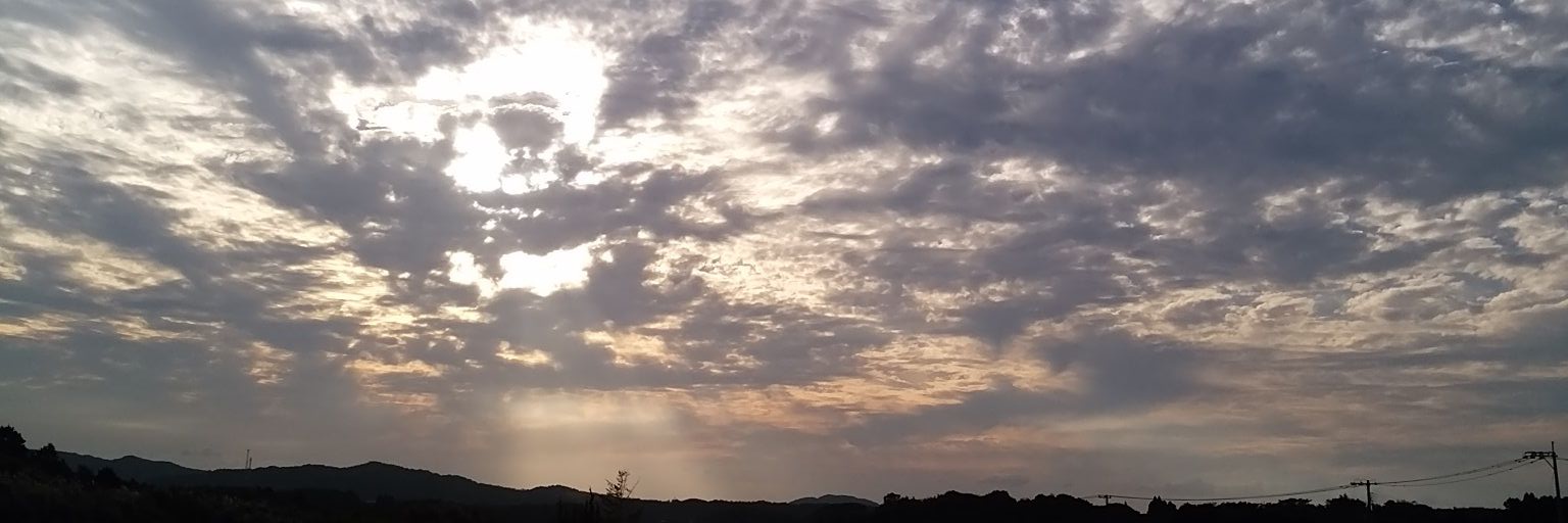 c1e19913's profile banner image