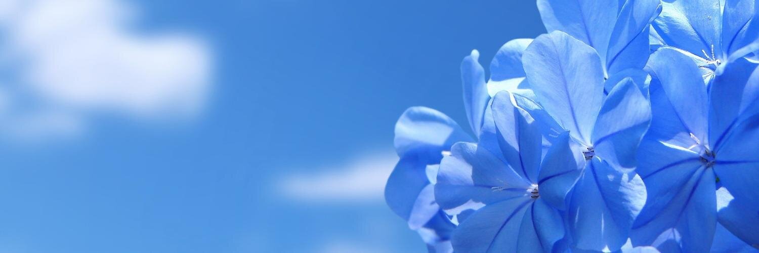PhaithfulLady's profile banner image