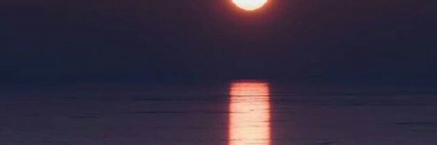 359_882's profile banner image