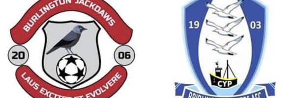 BurlJackdaws Profile Banner