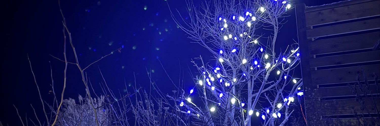 Janice Landry banner