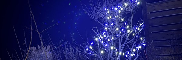 JtheCanadian Profile Banner