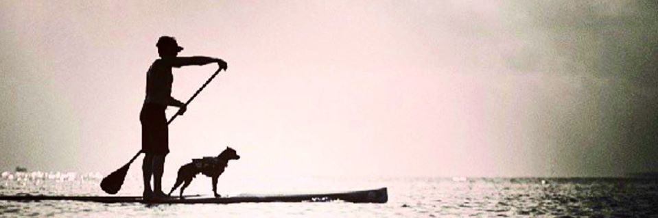 Yoloboard's profile banner image
