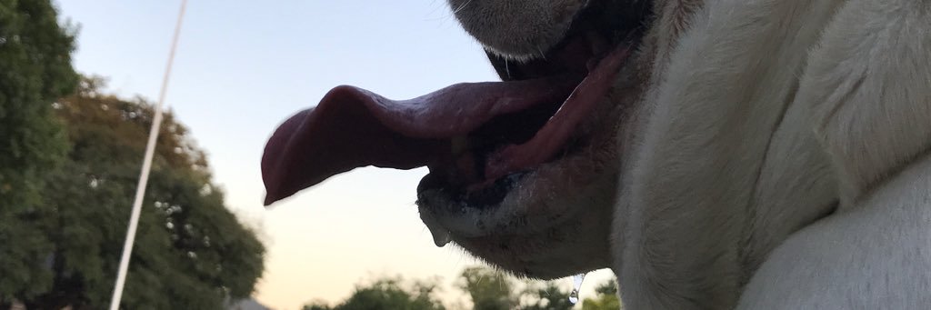 scarterv's profile banner image