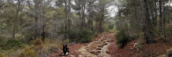 Suavinni Profile Banner