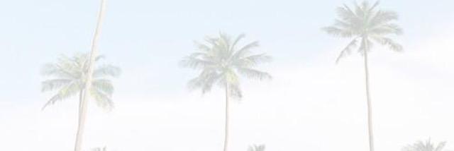 pumafacecam's profile banner image