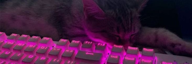 CIIX's profile banner image