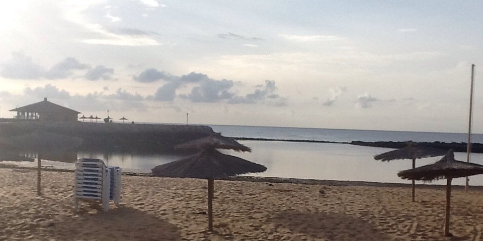 Ofelia Glez Sequeros banner