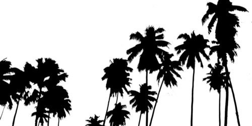 stoncheart's profile banner image