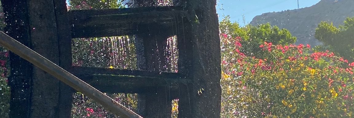 Anasolgo's profile banner image