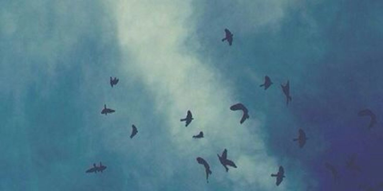 CamilG_'s profile banner image