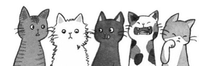 heloizealmeida's profile banner image