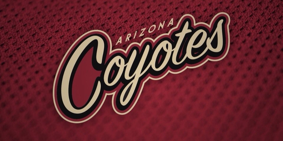 THG_Coyotes's profile banner image