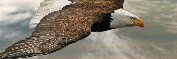 ALEXGAR64's profile banner image