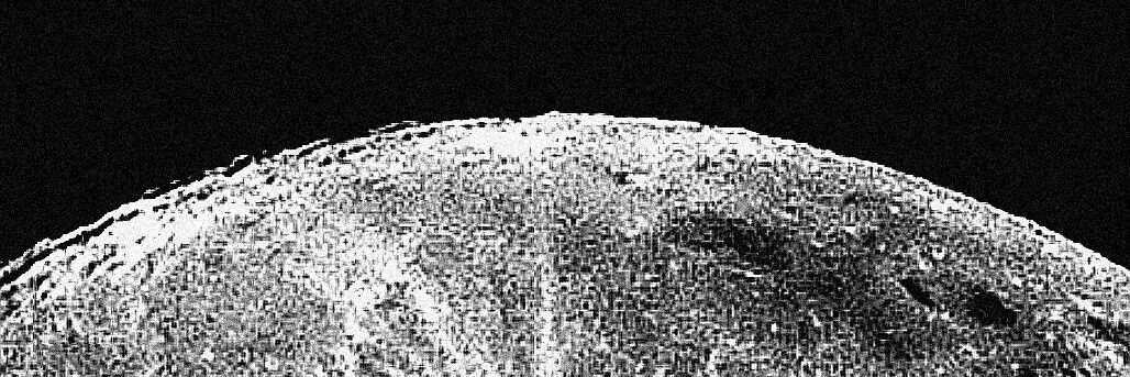 Raccoon at home banner