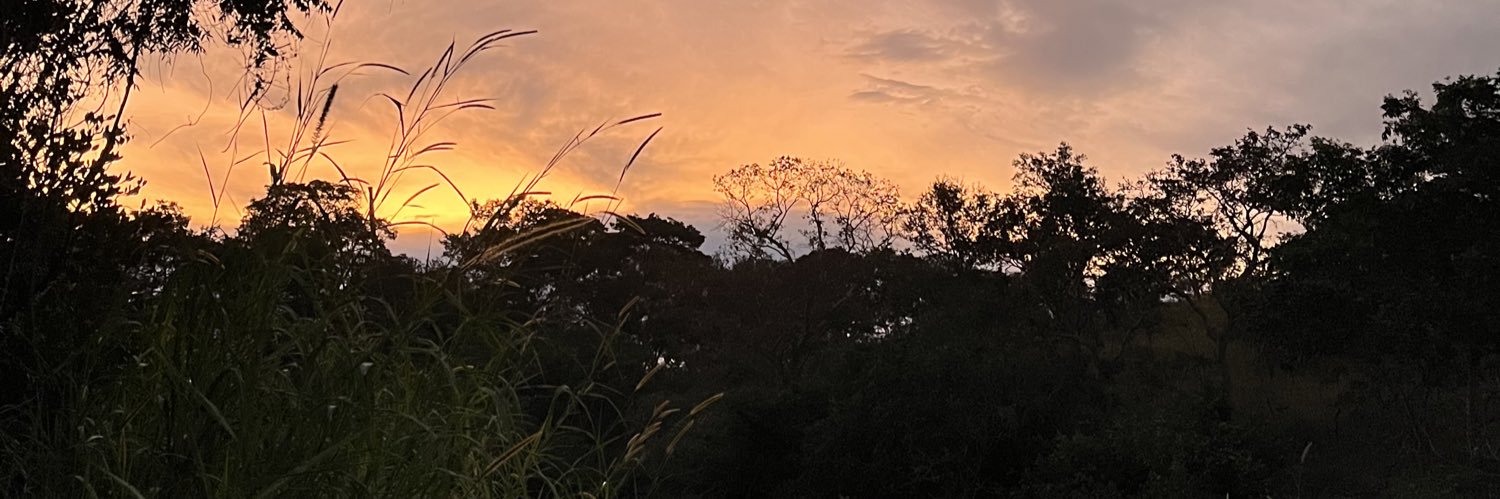 feboldrinig's profile banner image