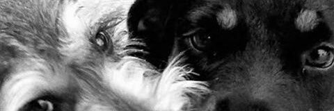 maurilum's profile banner image