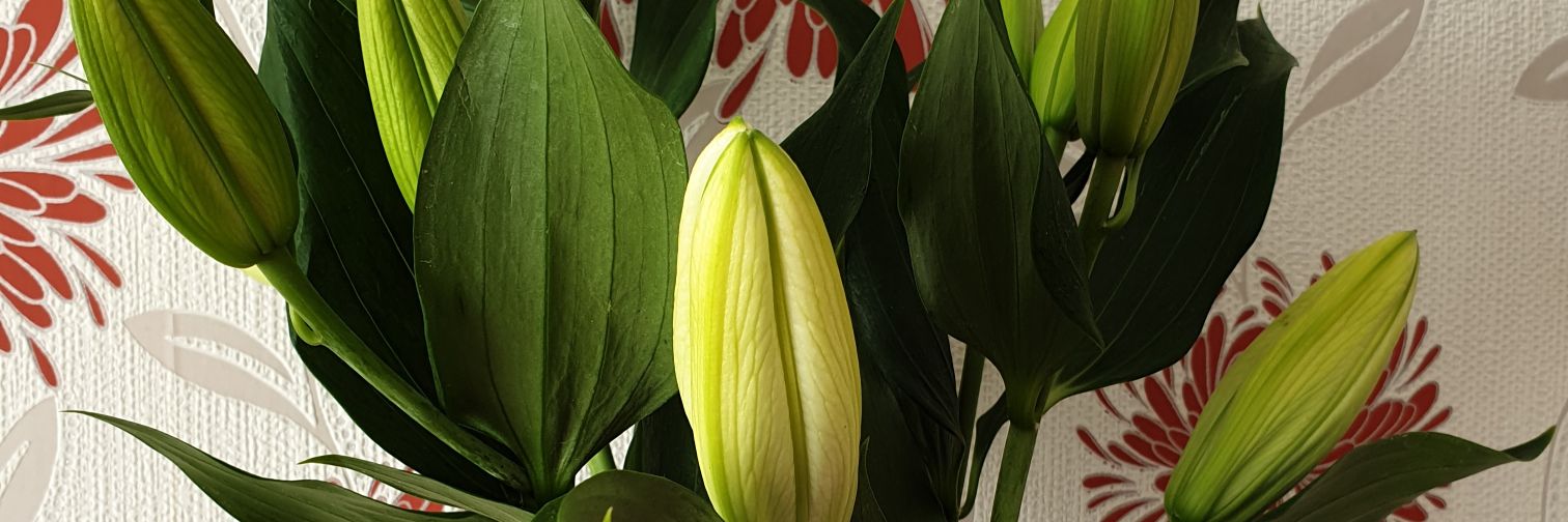 Alex (he/him) banner