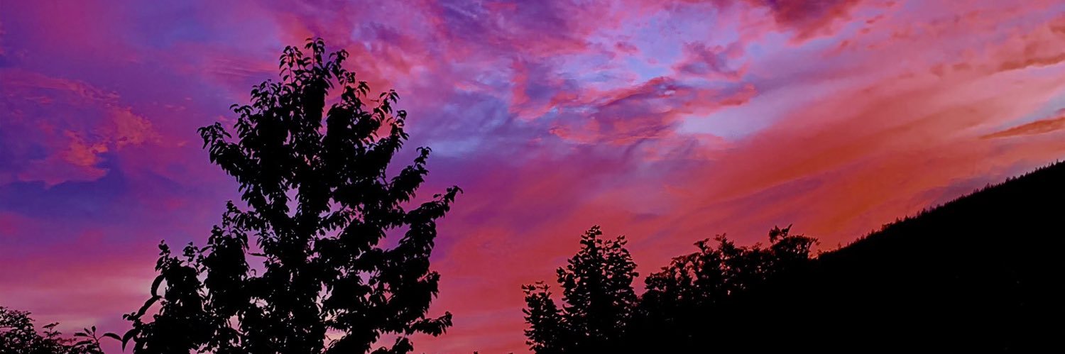 Melwnp's profile banner image