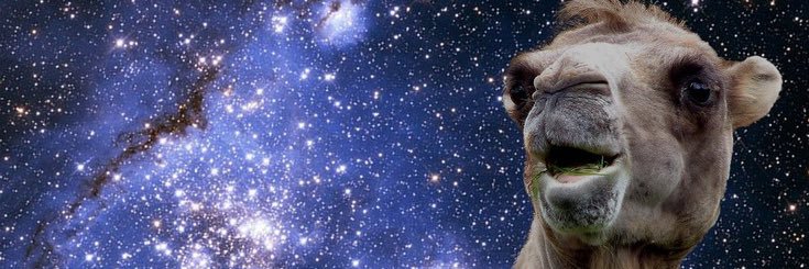 psyche99999's profile banner image