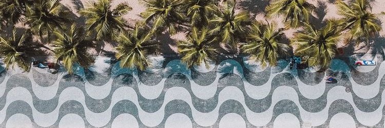 tforessi's profile banner image