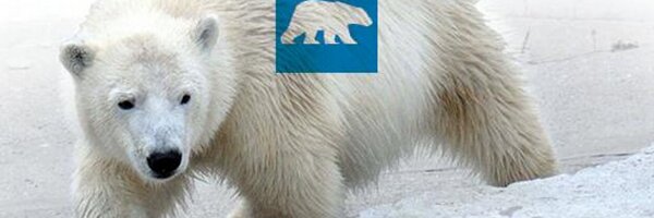 assiniboinezoo Profile Banner