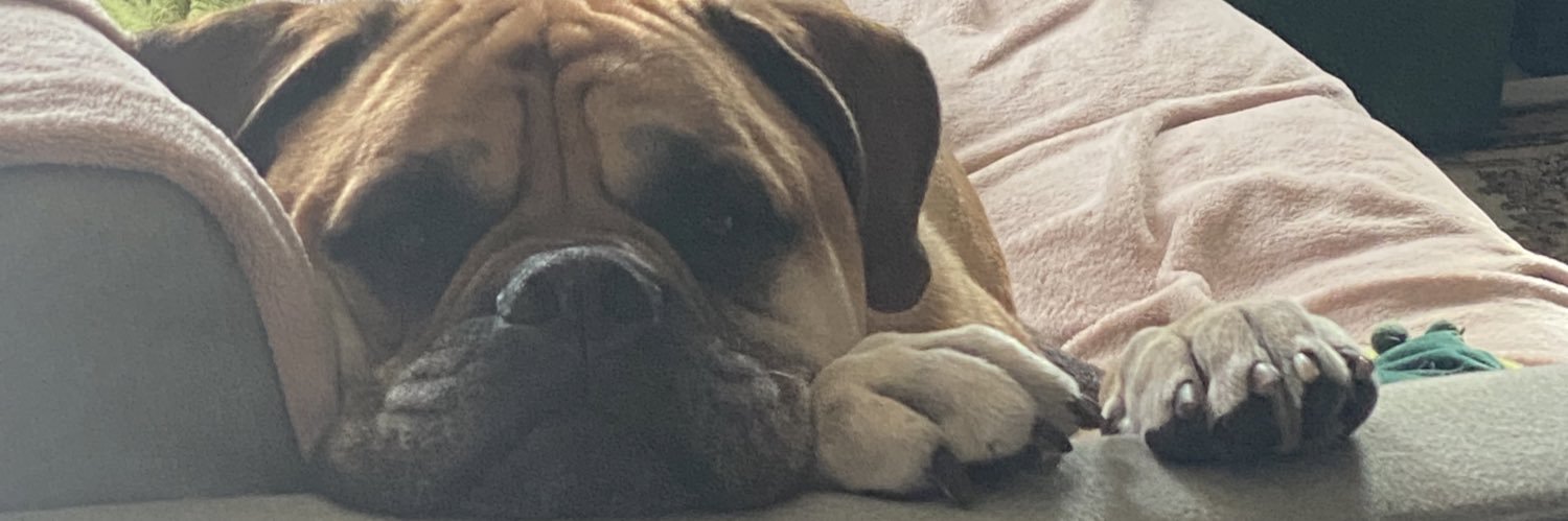 mbckleyy's profile banner image
