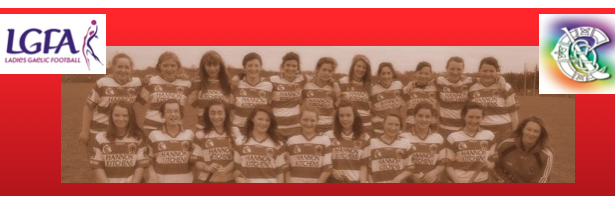 PRO Courceys C&LF banner