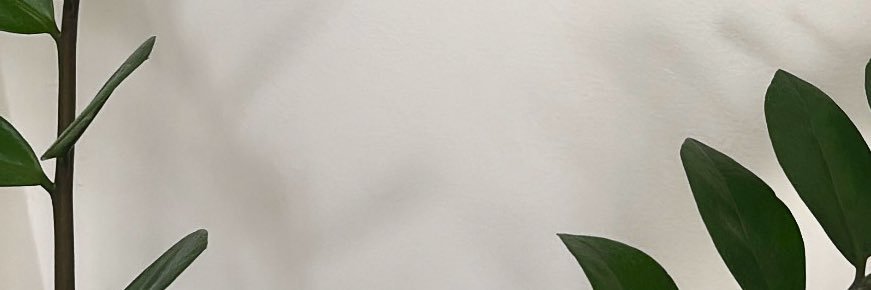 meeerrah's profile banner image