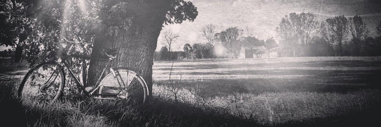 فالدير 🇫🇷 banner