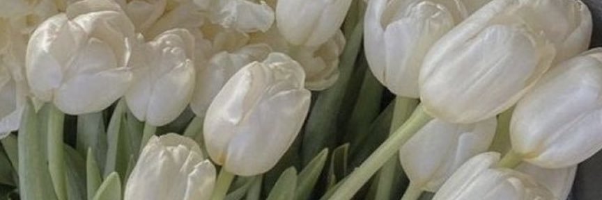 Jane12Rose's profile banner image