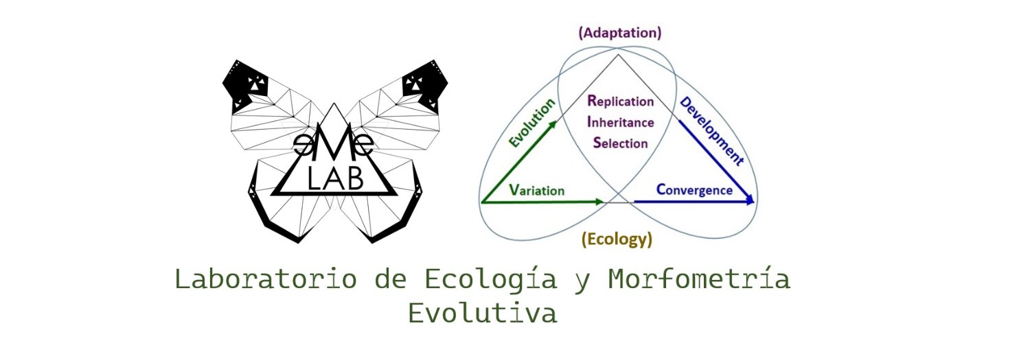 Hugo A. Benítez 🌳 banner