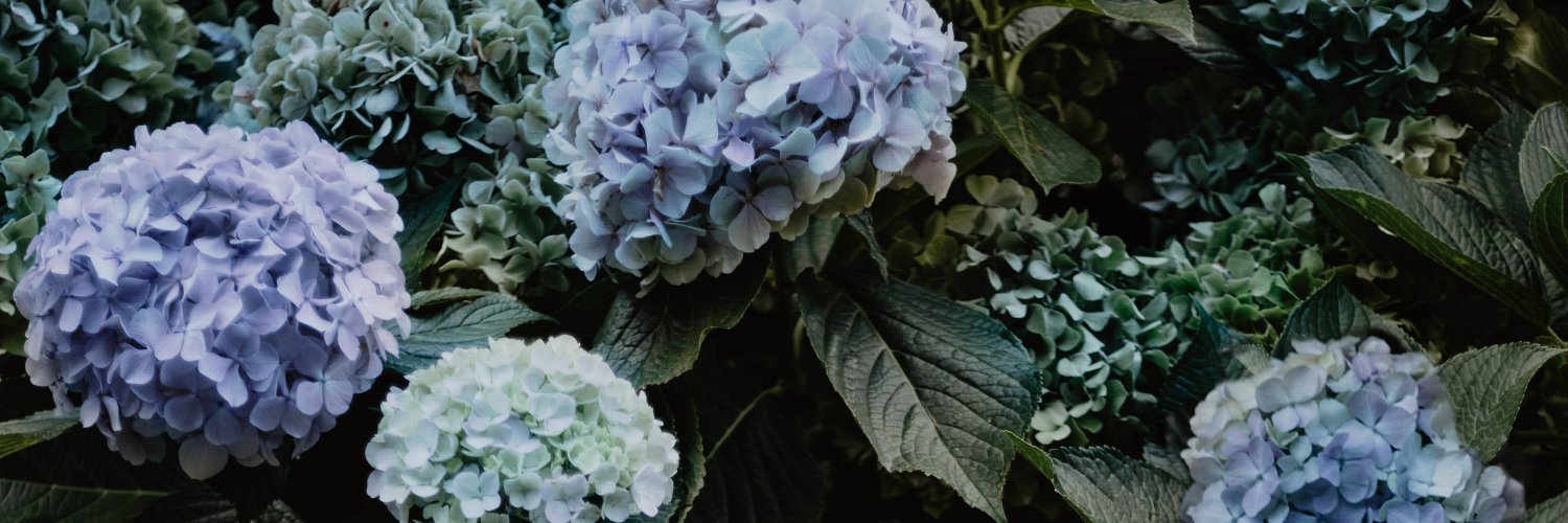 Camilletalks's profile banner image