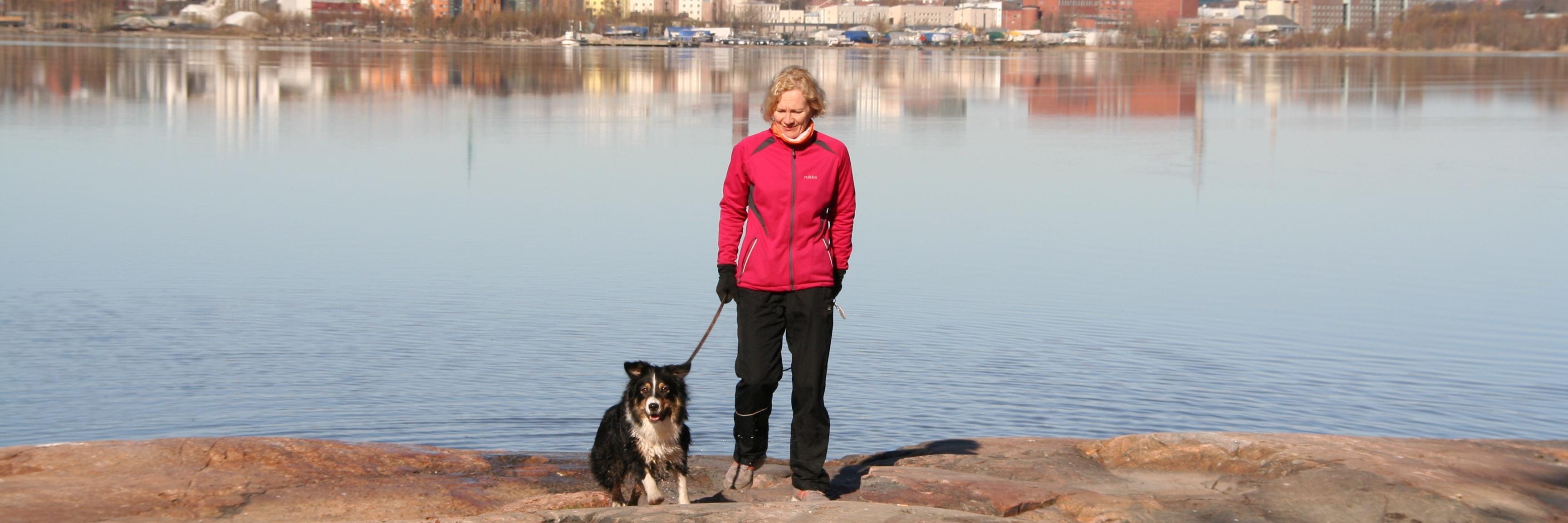 Arja Kosonen banner