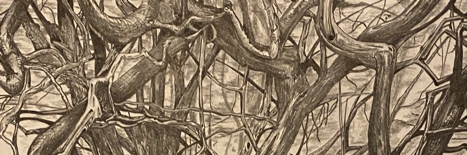 jonscottvarn's profile banner image
